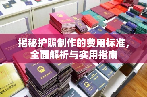 土城揭秘护照制作的费用标准，全面解析与实用指南